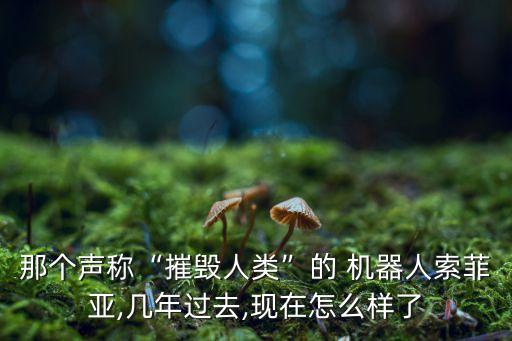 女機器人圖片,變形金剛女機器人圖片