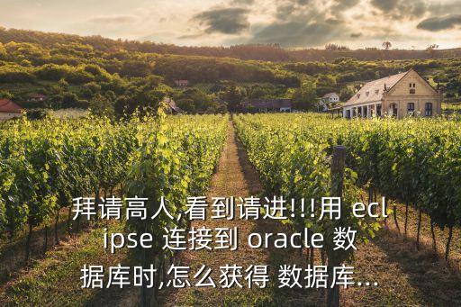 拜請高人,看到請進(jìn)!!!用 eclipse 連接到 oracle 數(shù)據(jù)庫時,怎么獲得 數(shù)據(jù)庫...