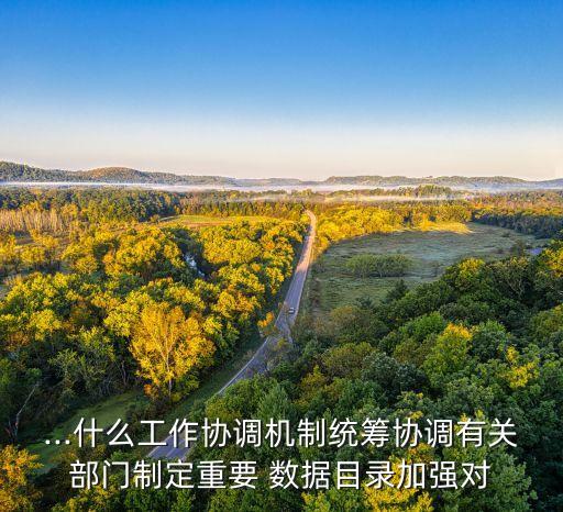 網(wǎng)絡重要數(shù)據(jù)分類分級保護