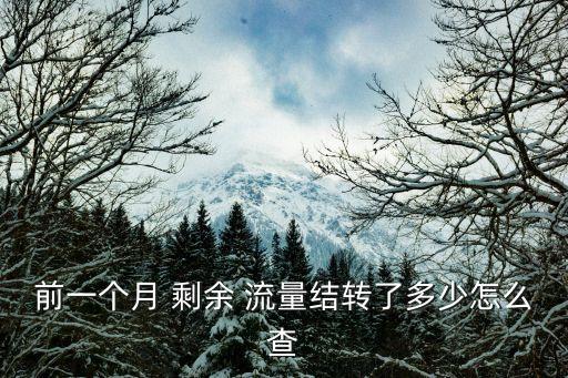 如何查詢(xún)上月剩余數(shù)據(jù)流量