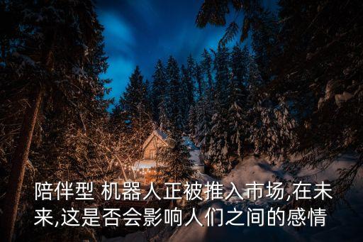 購買老人陪伴機(jī)器人會(huì)關(guān)注哪些特點(diǎn)
