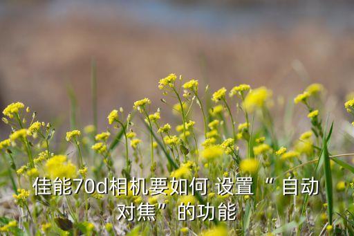 佳能70d相機要如何 設(shè)置“ 自動對焦”的功能