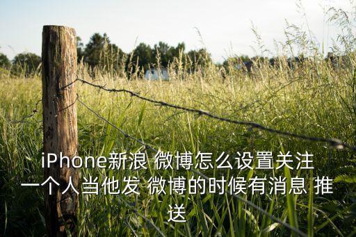 iPhone新浪 微博怎么設(shè)置關(guān)注一個(gè)人當(dāng)他發(fā) 微博的時(shí)候有消息 推送
