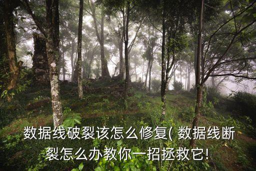  數(shù)據(jù)線破裂該怎么修復(fù)( 數(shù)據(jù)線斷裂怎么辦教你一招拯救它!