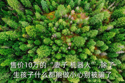 售價10萬的“妻子 機器人”,除了生孩子什么都能做小心別被騙了