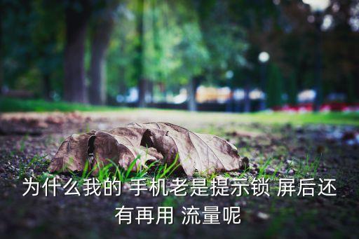 為什么我的 手機老是提示鎖 屏后還有再用 流量呢
