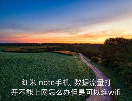  紅米 note手機, 數(shù)據(jù)流量打開不能上網(wǎng)怎么辦但是可以連wifi