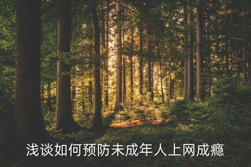 淺談如何預(yù)防未成年人上網(wǎng)成癮