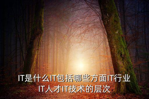 IT是什么IT包括哪些方面IT行業(yè)IT人才IT技術(shù)的層次