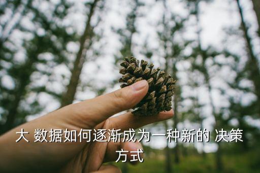 大 數(shù)據(jù)如何逐漸成為一種新的 決策方式