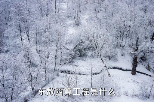 東數(shù)西算工程是什么