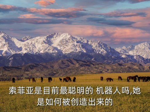 2017世界項(xiàng)尖機(jī)器人,在北京2017年世界機(jī)器人作文