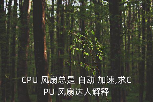 CPU 風扇總是 自動 加速,求CPU 風扇達人解釋