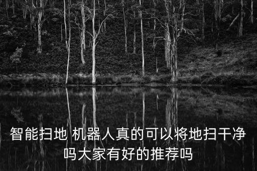 智能掃地 機器人真的可以將地掃干凈嗎大家有好的推薦嗎