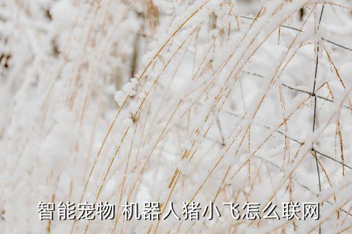 少年智能機(jī)器人教程,科沃斯智能機(jī)器人安裝教程