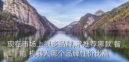 哪個智能機(jī)器人最便宜,以下哪個不是智能機(jī)器人的類型