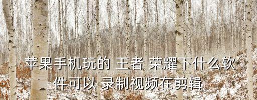  蘋果手機玩的 王者 榮耀下什么軟件可以 錄制視頻在剪輯