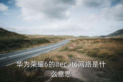 手機(jī)數(shù)據(jù)Cat是什么意思
