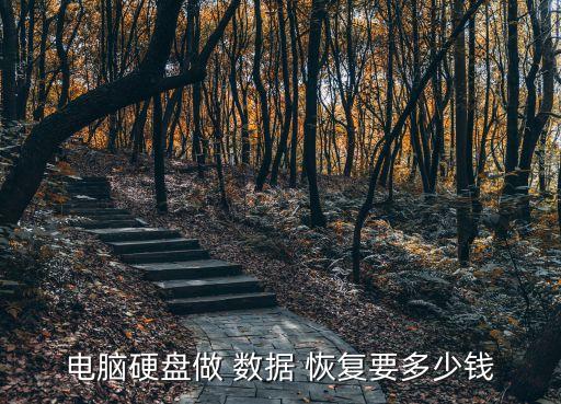 電腦硬盤做 數(shù)據(jù) 恢復要多少錢