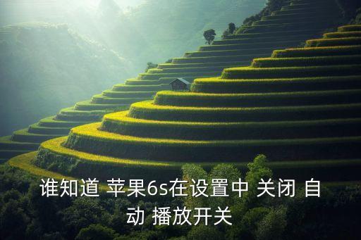 誰知道 蘋果6s在設(shè)置中 關(guān)閉 自動(dòng) 播放開關(guān)