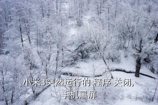  小米3突然運(yùn)行的 程序 關(guān)閉, 手機(jī)黑屏