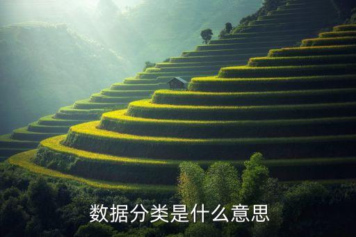  數(shù)據(jù)分類是什么意思