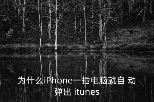 為什么iPhone一插電腦就自 動(dòng)彈出 itunes