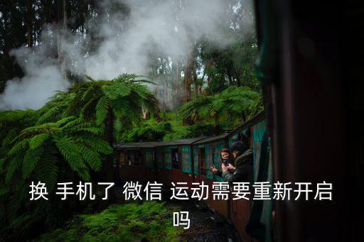 微信運(yùn)動(dòng)數(shù)據(jù)不同手機(jī)