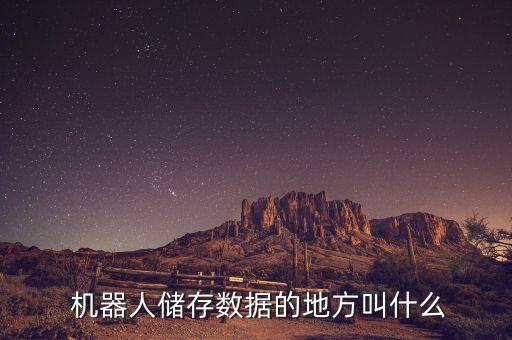  機(jī)器人儲(chǔ)存數(shù)據(jù)的地方叫什么