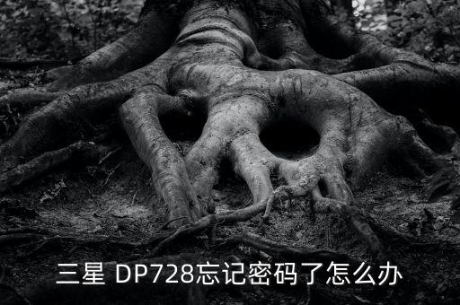 三星 DP728忘記密碼了怎么辦