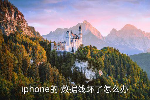 蘋果數(shù)據(jù)線 換新流程