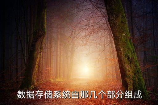  數(shù)據(jù)存儲系統(tǒng)由那幾個部分組成