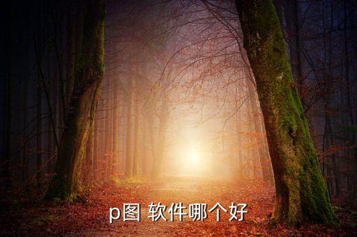 p圖 軟件哪個好