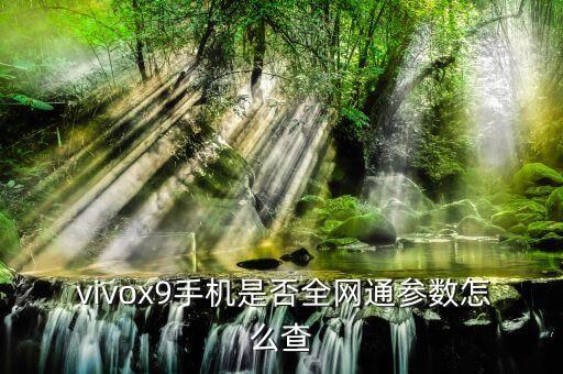  vivox9手機(jī)是否全網(wǎng)通參數(shù)怎么查