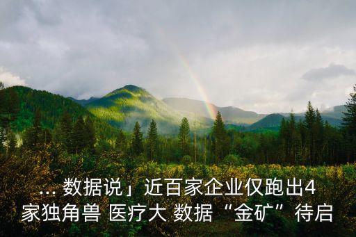 青海健康醫(yī)療大數(shù)據(jù),中國健康醫(yī)療大數(shù)據(jù)股份有限公司