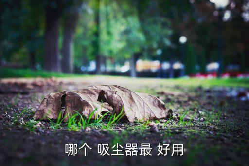 哪個 吸塵器最 好用