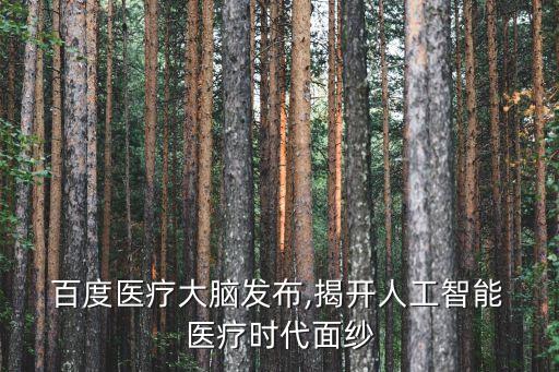  百度醫(yī)療大腦發(fā)布,揭開人工智能 醫(yī)療時代面紗