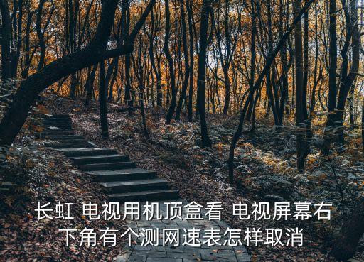  長虹 電視用機頂盒看 電視屏幕右下角有個測網速表怎樣取消