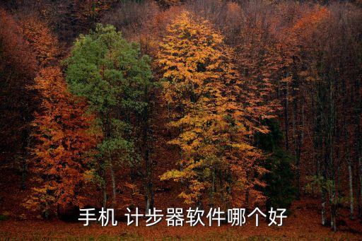  手機 計步器軟件哪個好