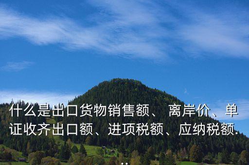 什么是出口貨物銷售額、 離岸價、單證收齊出口額、進項稅額、應(yīng)納稅額...