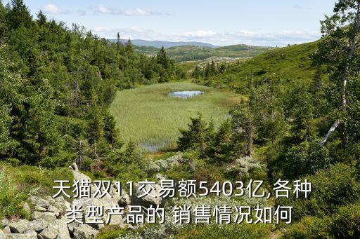  天貓雙11交易額5403億,各種類(lèi)型產(chǎn)品的 銷(xiāo)售情況如何
