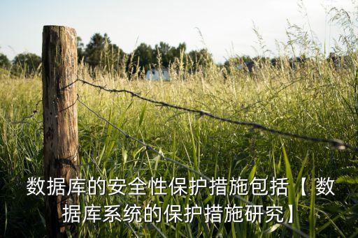  數(shù)據(jù)庫(kù)的安全性保護(hù)措施包括【 數(shù)據(jù)庫(kù)系統(tǒng)的保護(hù)措施研究】