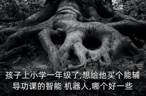 孩子上小學(xué)一年級(jí)了,想給他買個(gè)能輔導(dǎo)功課的智能 機(jī)器人,哪個(gè)好一些