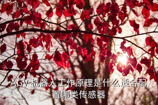 AGV 機(jī)器人工作原理是什么適合配置哪類傳感器
