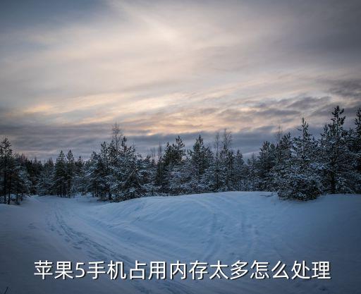  蘋果5手機(jī)占用內(nèi)存太多怎么處理