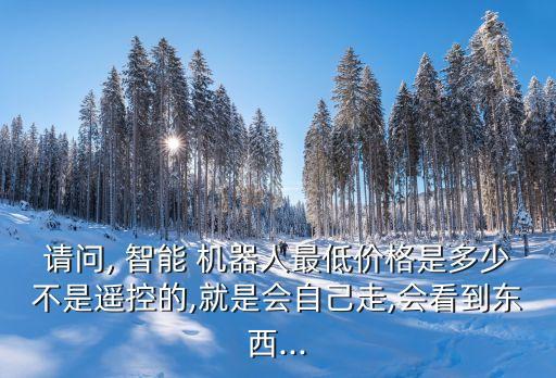 請問, 智能 機器人最低價格是多少不是遙控的,就是會自己走,會看到東西...