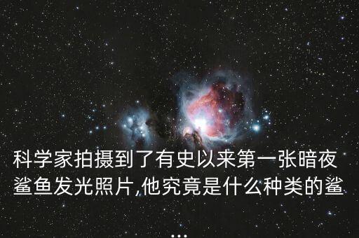 科學家拍攝到了有史以來第一張暗夜 鯊魚發(fā)光照片,他究竟是什么種類的鯊...