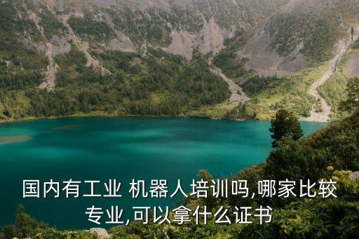 國內有工業(yè) 機器人培訓嗎,哪家比較專業(yè),可以拿什么證書