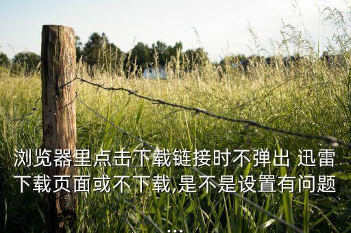 迅雷大數(shù)據(jù)有限公司,深圳迅雷網(wǎng)絡(luò)科技有限公司怎么樣