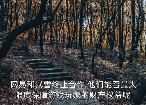  網(wǎng)易和暴雪終止合作,他們能否最大限度保障游戲玩家的財(cái)產(chǎn)權(quán)益呢